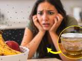 Artículos: Acaba con las moscas de la fruta en tu cocina en una sola noche con este remedio casero sin insecticidas