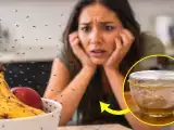 Artículos: Acaba con las moscas de la fruta en tu cocina en una sola noche con este remedio casero sin insecticidas