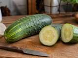 Artículos: Cómo detectar si un pepino está en mal estado: señales que debes revisar antes de comprarlo en la tienda