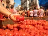 Artículos: 150 toneladas de tomates para una hora de batalla: de dónde vienen los tomates de la Tomatina