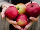 10 Razones para comer una manzana al día y recetas