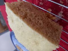 foto por cintia_r2024_1