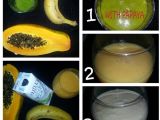 Receta Batidos de papaya, 3 opciones