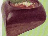 Receta Salsa scarparo