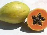 Receta Jugo para eliminar la celulitis de piña y papaya