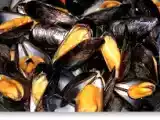 Receta Mejillones de roca belgas
