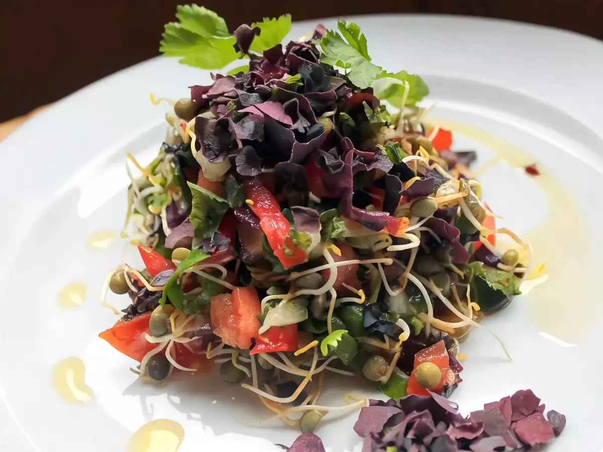 Receta Ensalada de brotes de lentejas y algas