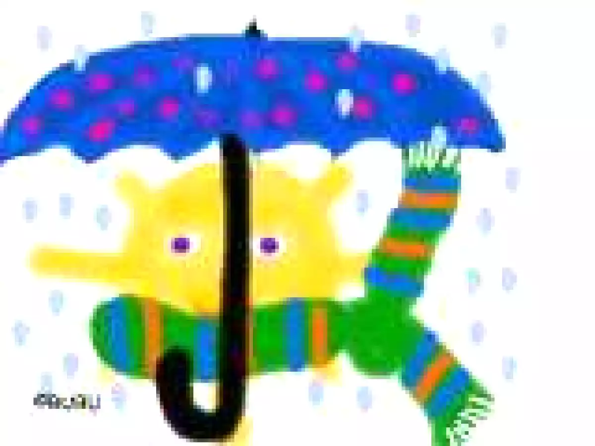 Farcellets de col façits de carn--atillos de col rellena de carne