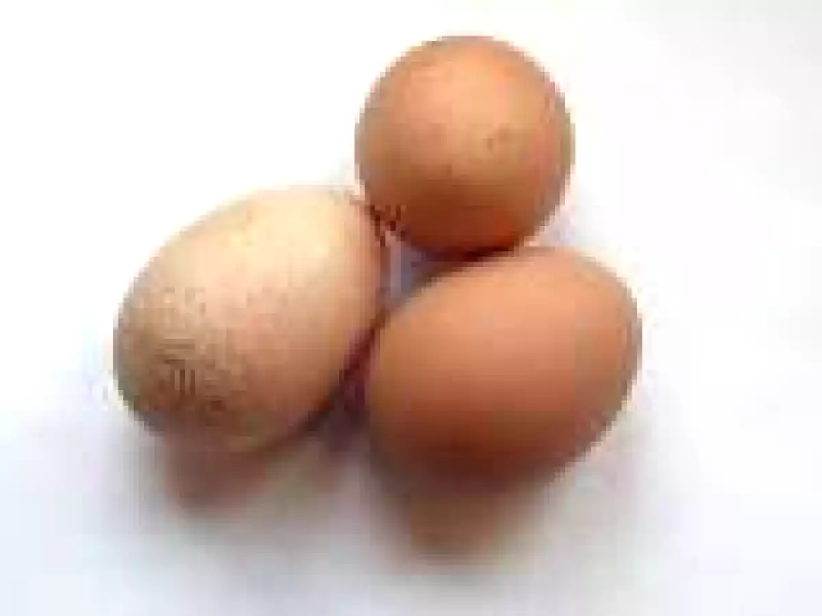 Rollitos de tortilla rellenos de verdura