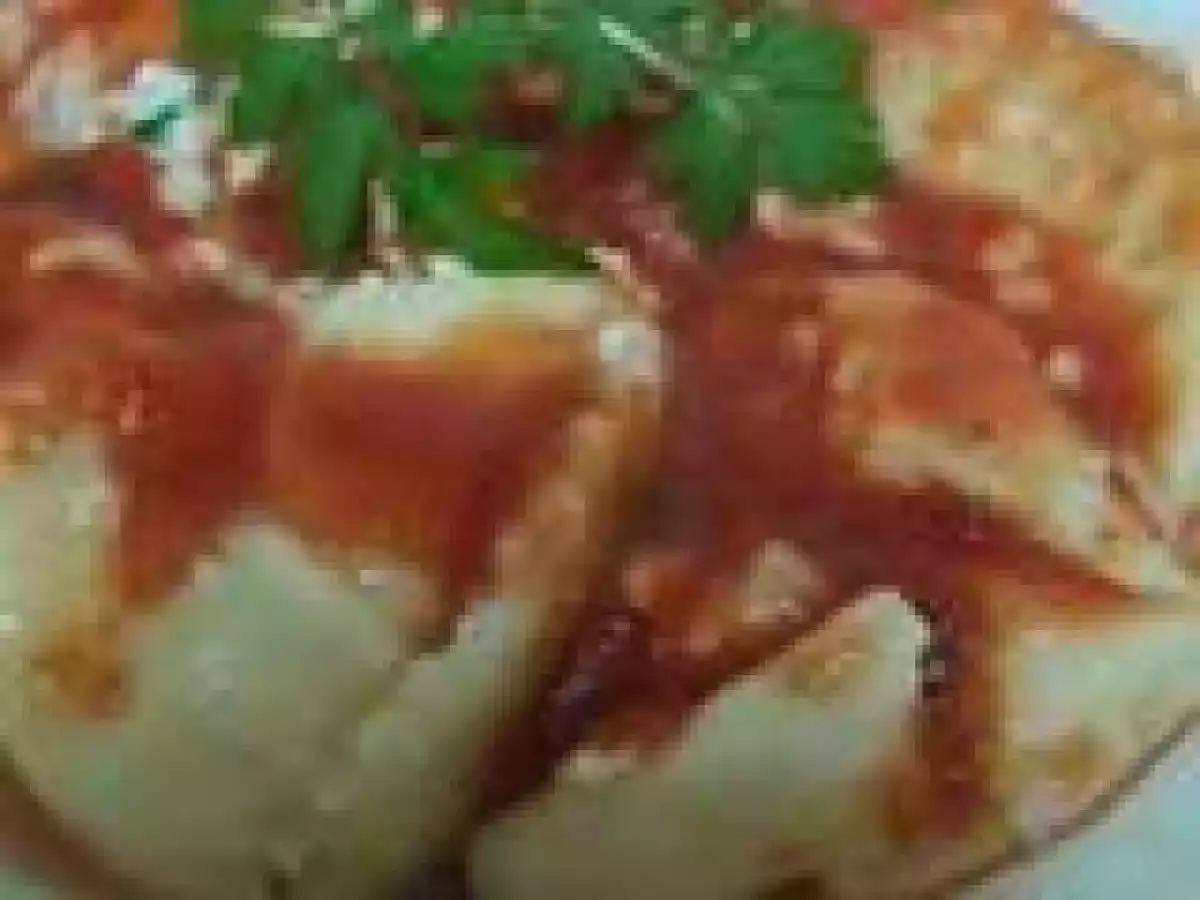 Panzottis de ricotta