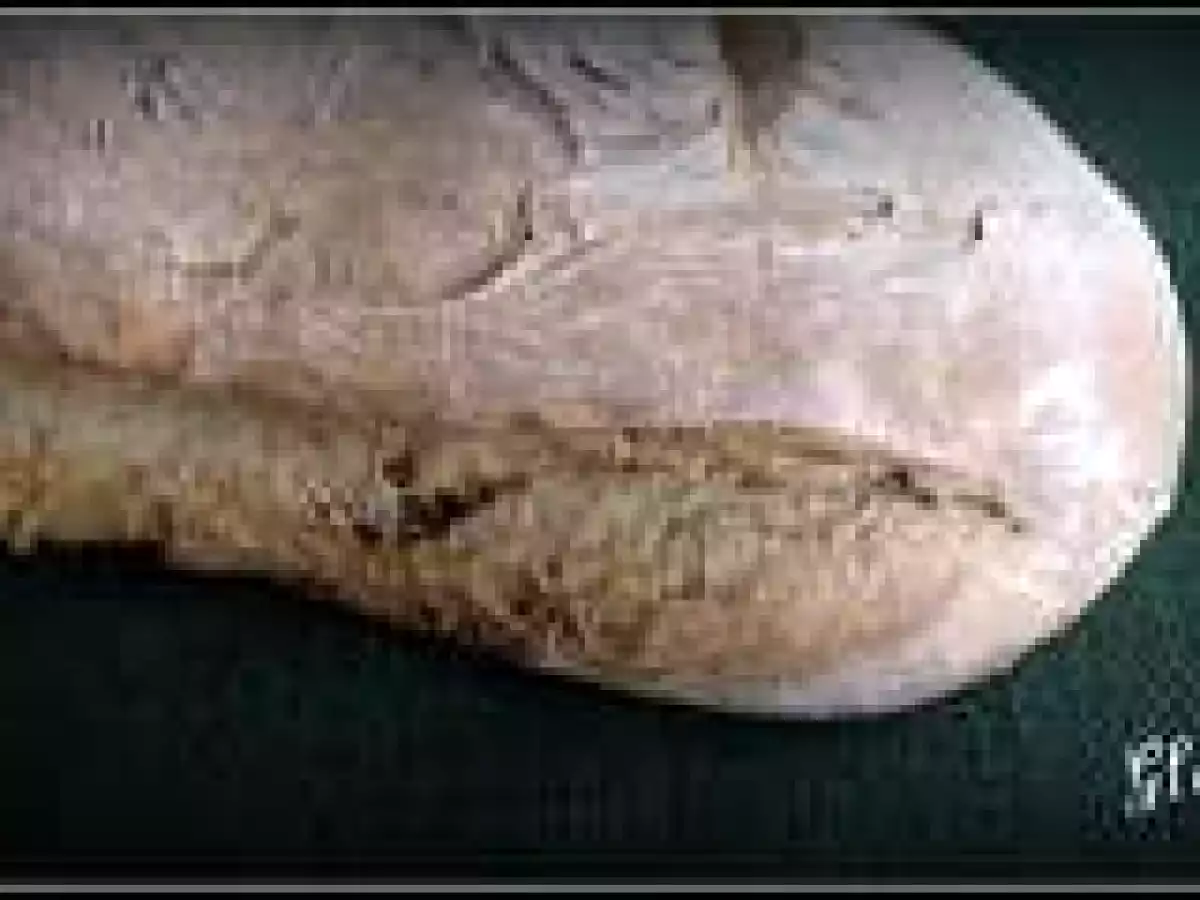 Pan irlandés (panificadora)