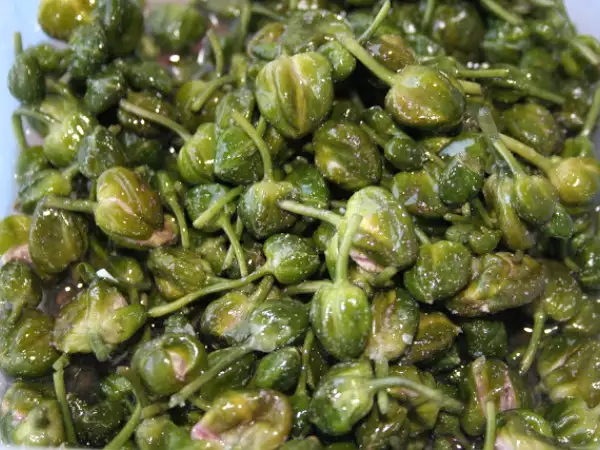 Receta Taperes i taperots (alcaparras) (como las prepara la prima merche de burjassot)