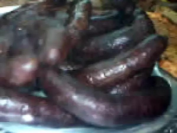 Receta Rellenas criollas (llanos - llaneras)