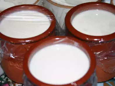 Receta Yogur casero (thermomix)