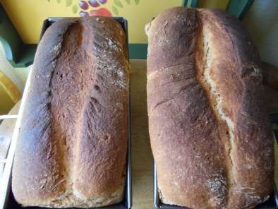 Receta Pan de molde integral con germen de trigo (tradicional y en panificadora)