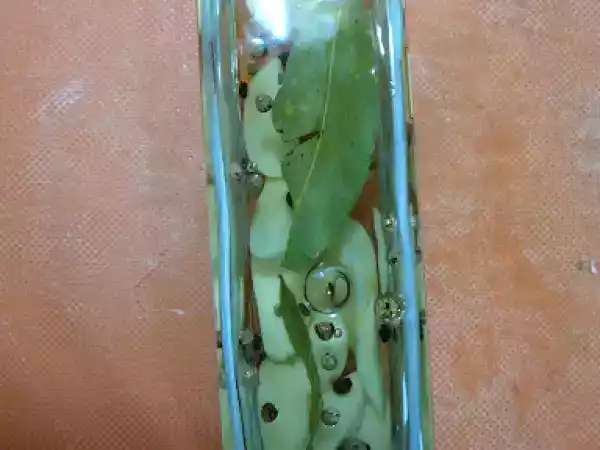Receta Aceite aromatizado al ajo