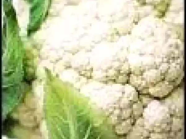 Receta Crema de coliflor con queso parmesano