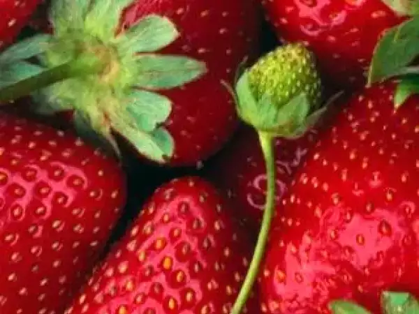 Receta Jugo para quitar las várices de fresa, toronja y miel