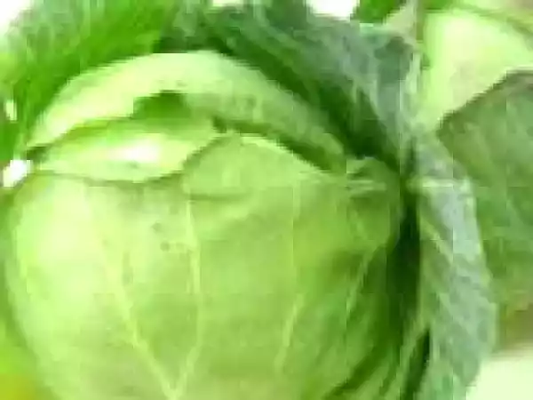 Receta Receta vegetariana repollo relleno