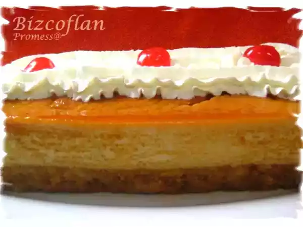 Receta Bizcoflan (tm31)