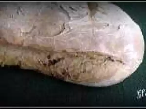 Receta Pan irlandés (panificadora)