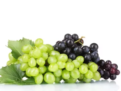 recetas uva