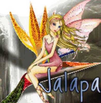 jalapa