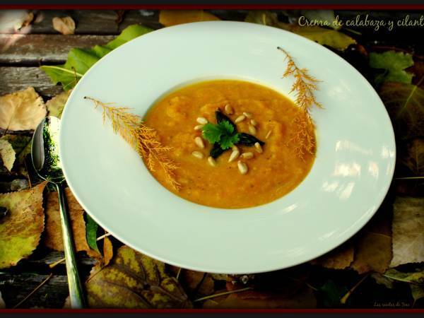 Crema de calabaza y cilantro - Preparación paso 2