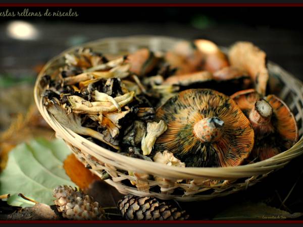 Cestas rellenas de níscalos - Preparación paso 1