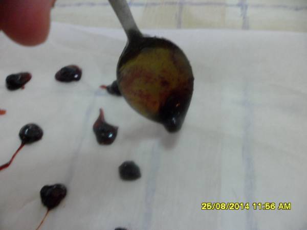 Pastelitos de arandanos - Preparación paso 2