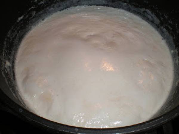 Cómo hacer Paneer, Queso Indio - Preparación paso 1