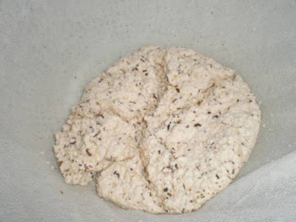 Cómo hacer Paneer, Queso Indio - Preparación paso 2