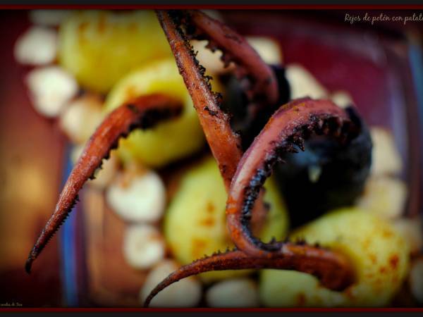 Rejos de potón con patatas - Preparación paso 2