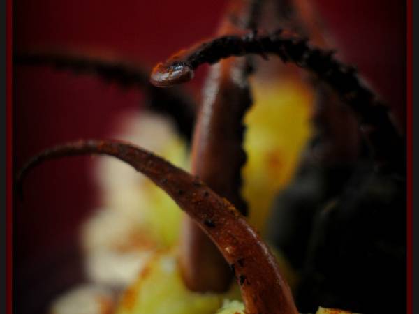 Rejos de potón con patatas - Preparación paso 3