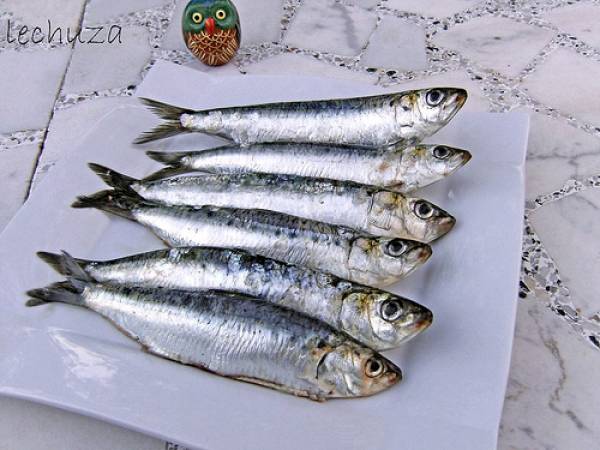 Sardinas en escabeche - Preparación paso 1