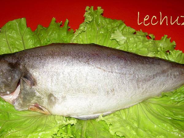 Receta gallega de abadejo en salsa verde con berberechos - Preparación paso 1