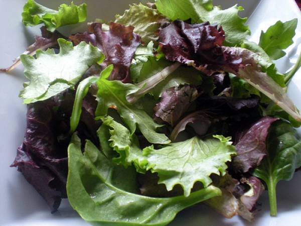 Ensalada de queso con arándanos rojos - Preparación paso 1
