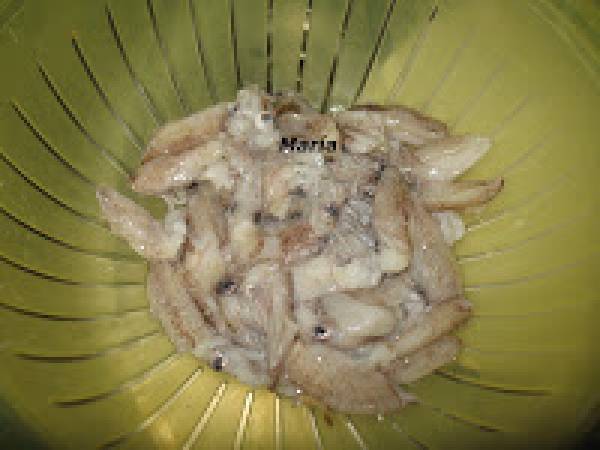 Mi nueva minipimer 7 braun y un arroz con chipirones - Preparación paso 1