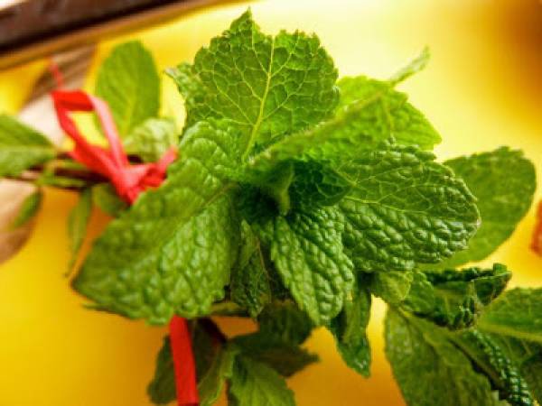 Crema de guisantes secos con hierbabuena - Preparación paso 3