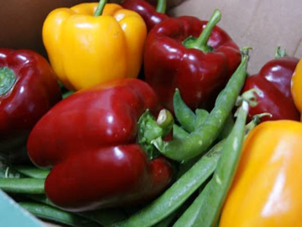 Ensalada de pimientos de Dalías asados, estilo Jaén y Málaga - Preparación paso 1
