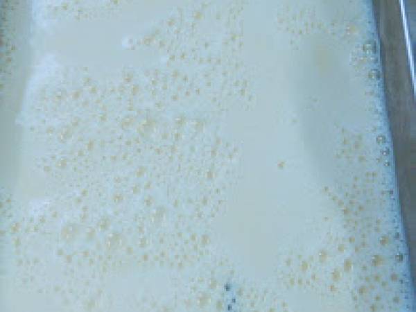 Leche asada muy fácil y preparar - Preparación paso 2