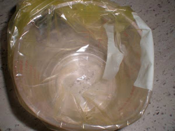 Galletas florentinas - Preparación paso 12