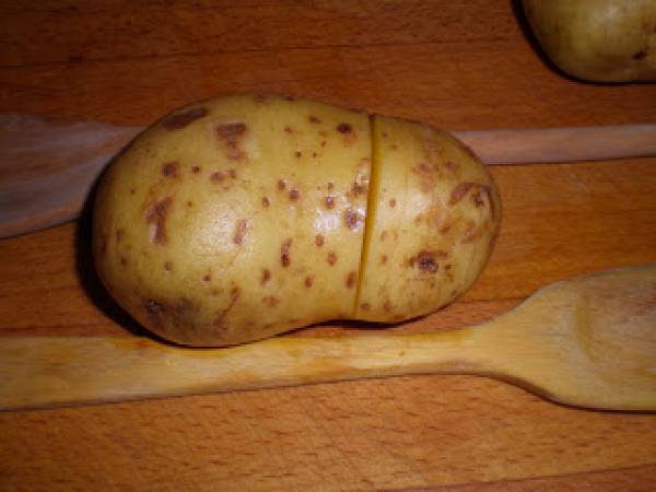 Cochinillo asado, mi primer cochinillo al horno - Preparación paso 4