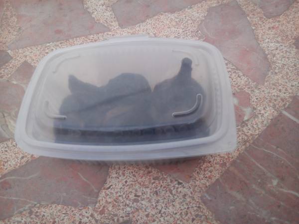 ¿Sabes como hacer tu propio ajo negro? - Preparación paso 4