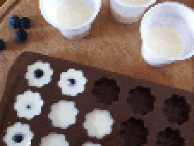 Panna cotta salada al parmesano con salmon, ajonjolí y arándanos - Preparación paso 3