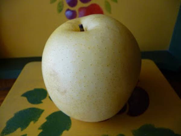 Bulgogi, tiras de ternera marinada a la plancha, receta coreana - Preparación paso 6