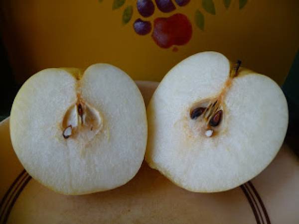 Bulgogi, tiras de ternera marinada a la plancha, receta coreana - Preparación paso 7