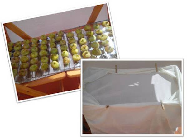 Cómo secar higos de temporada - Preparación paso 1