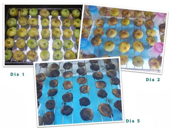 Cómo secar higos de temporada - Preparación paso 2