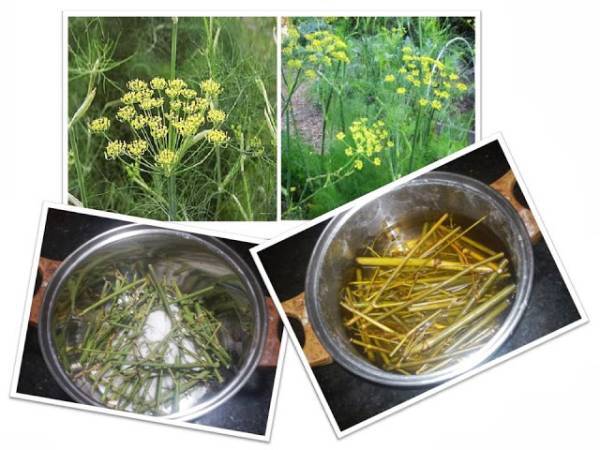 Cómo secar higos de temporada - Preparación paso 3